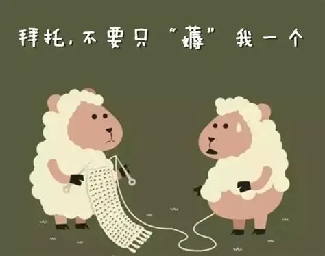 每日羊毛
